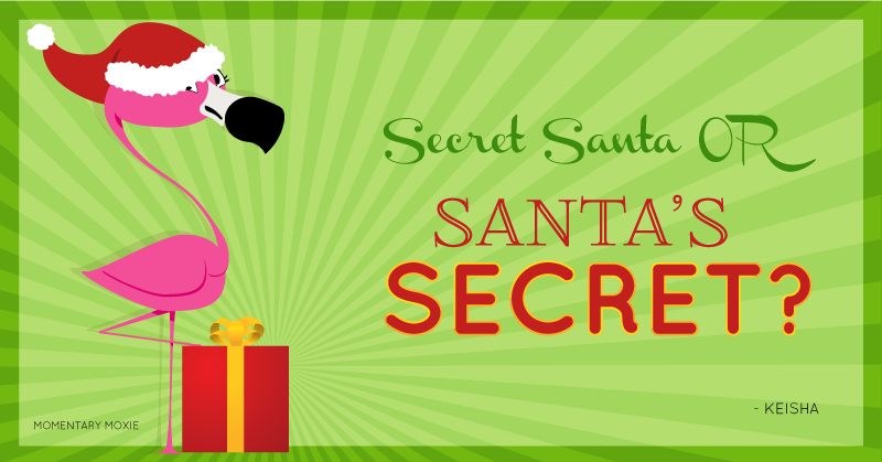 Momentary Moxie Secret Santa