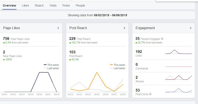 Facebook insights are a valuable resource.